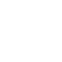 Quality Icon
