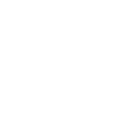 Team Icon